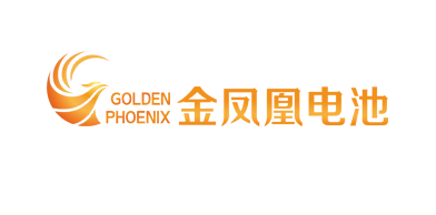 河源电池